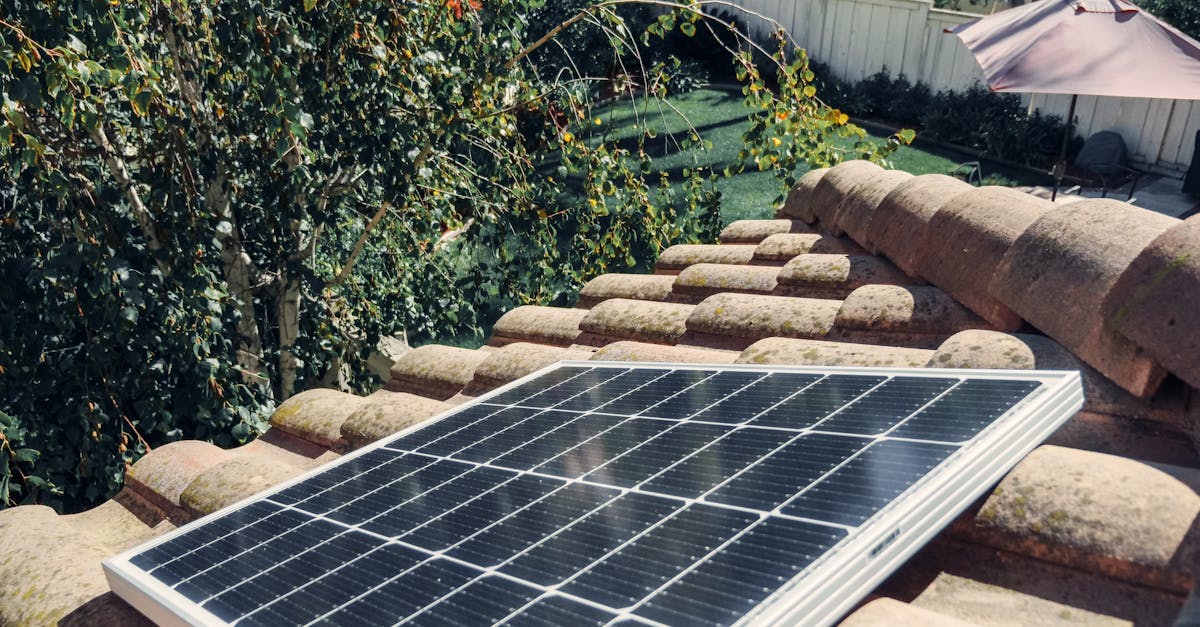 How to Choose the Right Renewable Energy Source for Your Home