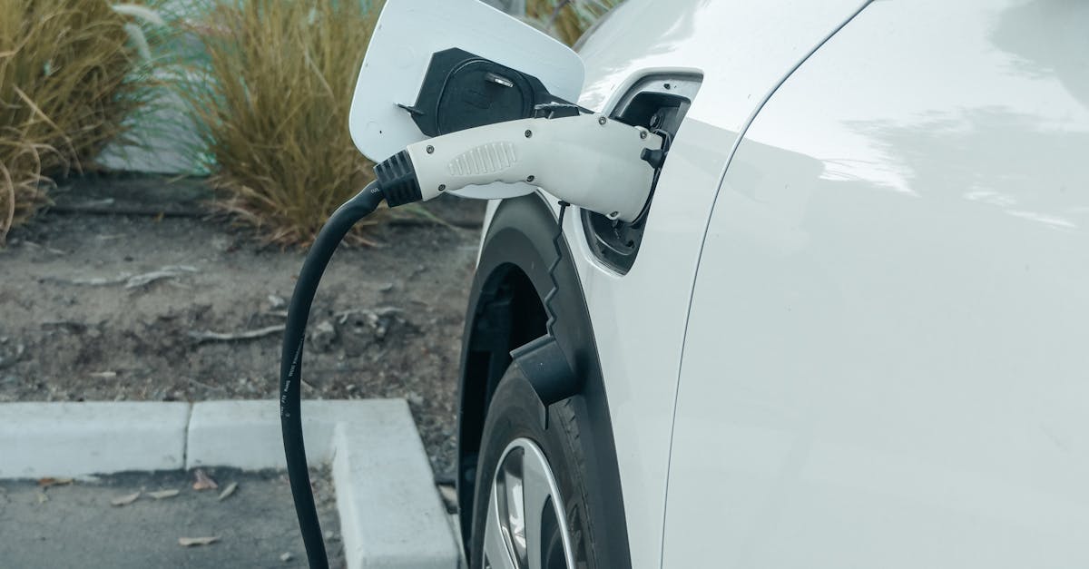 Review of the Top Energy-Efficient Windows on the Market