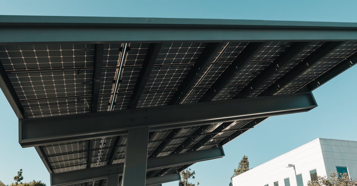 What to Consider When Selecting Energy-Efficient Windows and Doors