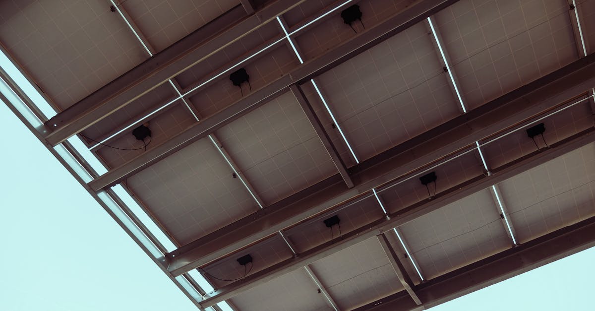 What to Know About Wind Energy Solutions for Home Use