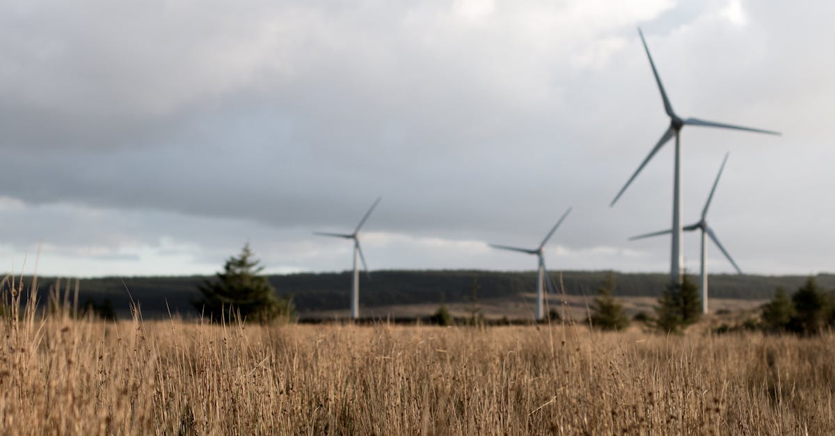 Why Wind Energy is a Sustainable Choice for Homes