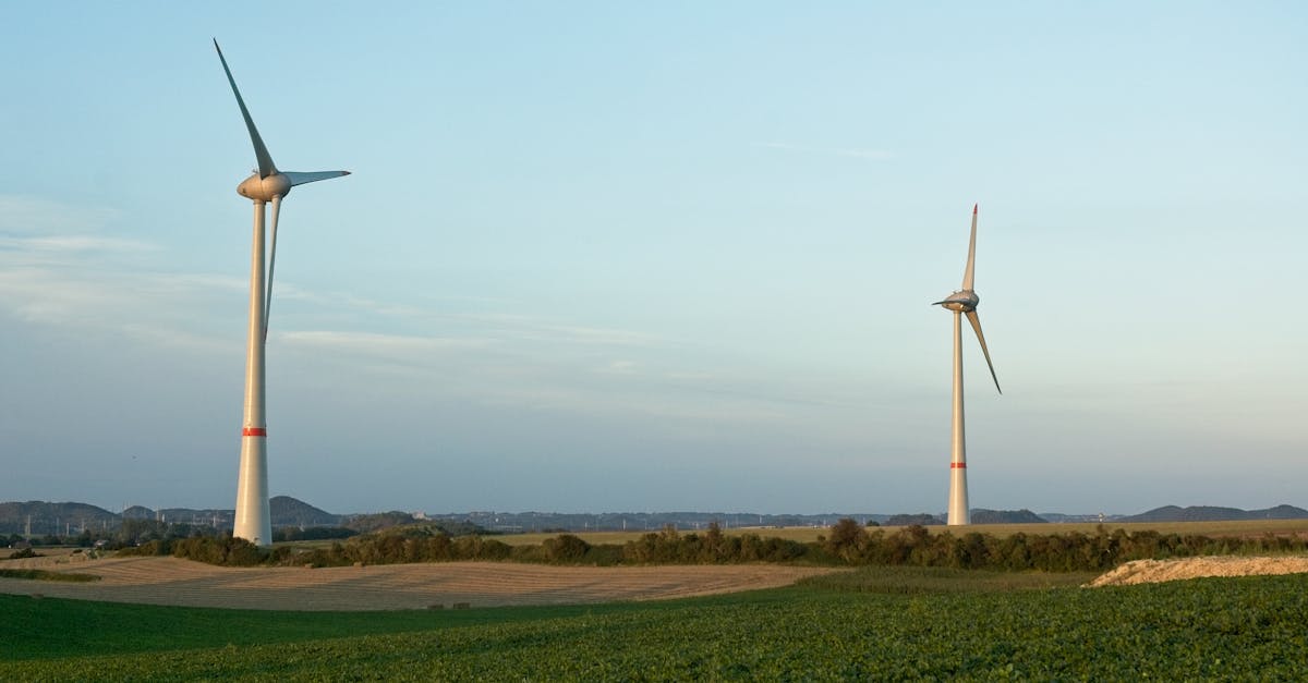 Why You Should Consider Wind Energy for Your Energy Needs